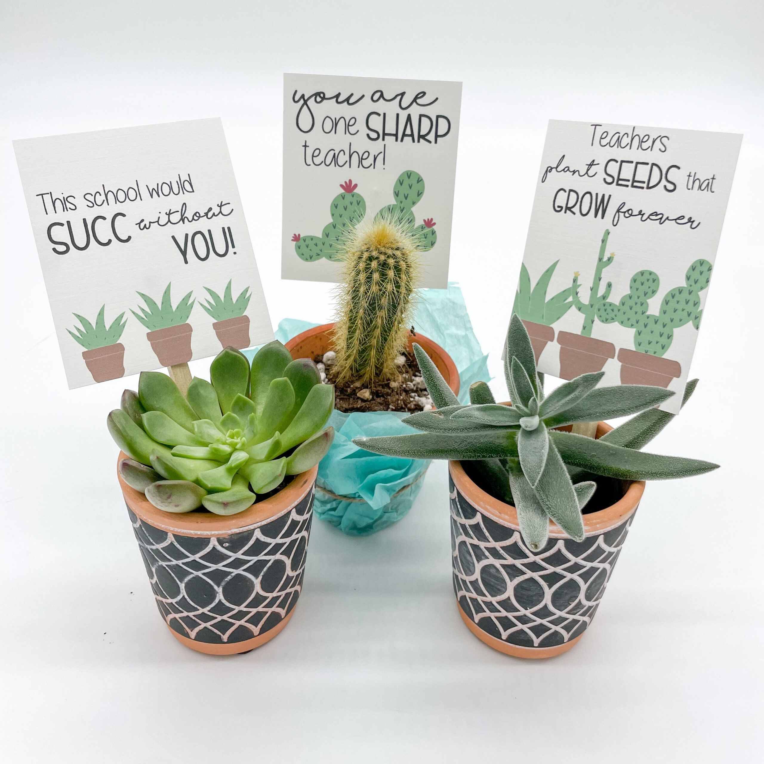 Teacher appreciation plant gifts with printables